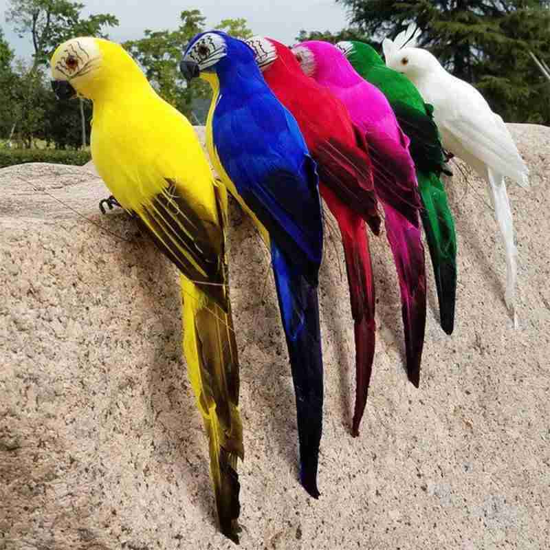 Värviline kaisukas papagoi